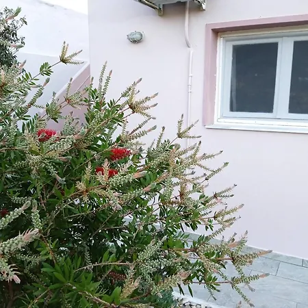 Andros Lighthouse Apartments Mesaria  Esterno foto