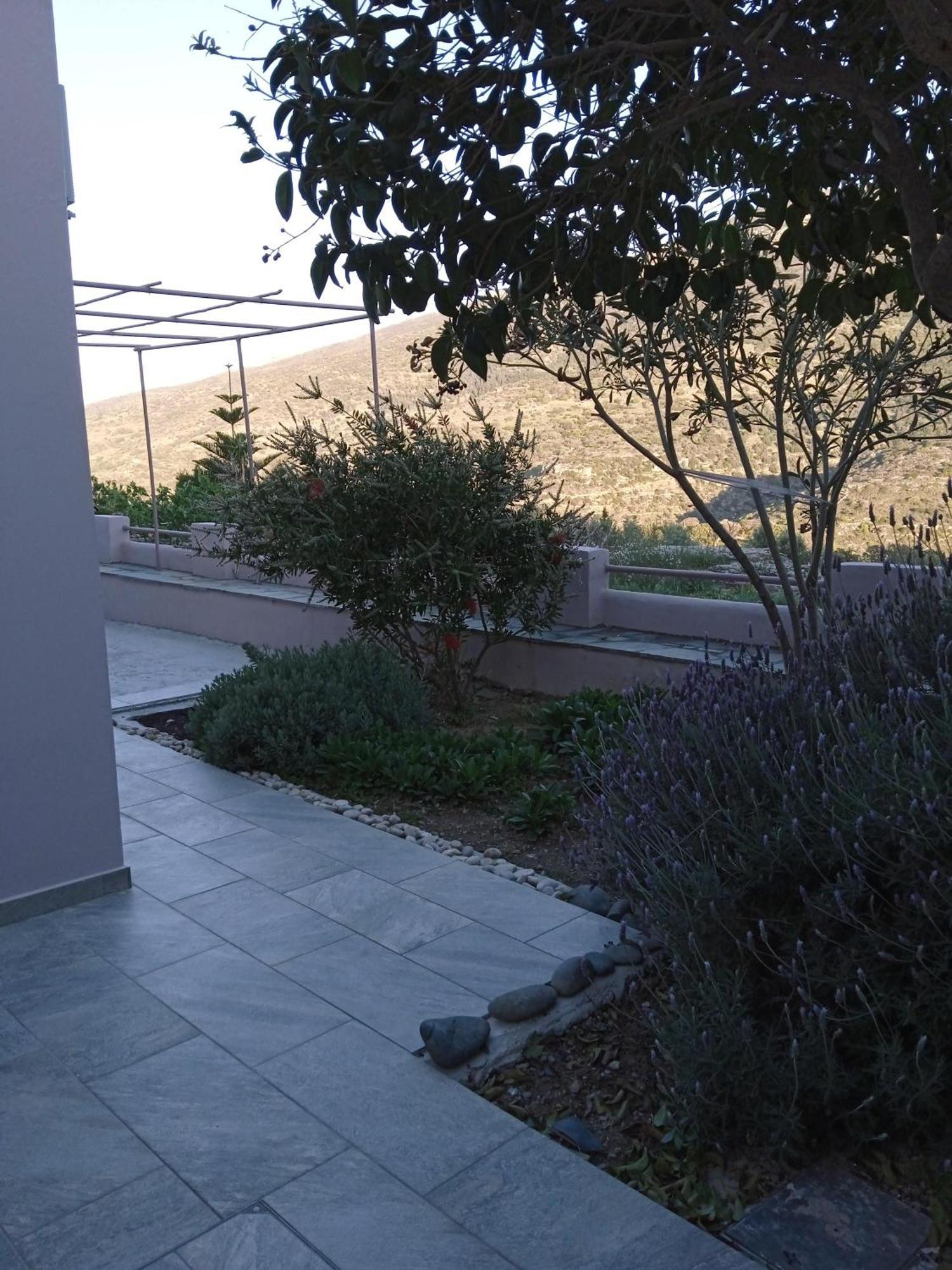Appartement Andros Lighthouse *